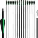 Pack of 14 Carbon Arrows 30 Inches with Removable Arrows for Youth and Adults, Archery Exercises, Bows and Arrows for Outdoor Training