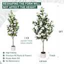 Yepdin 63 inch Artificial Camellia Tree with White Flower Pots -2 Pack White Fake Tree,5 Ft Faux Plants Indoor wich Blooming,Artificial Plants for Indoor & Outdoor Home Front Door Decor