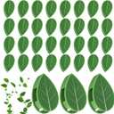 60 Pcs Plant Wall Clips, Plant Climbing Wall Fixture Clips, Wall Vines Fixing Clips with 72 Adhesive Stickers, Self-Adhesive Plant Fixer for Vine Support and Indoor Outdoor Decoration