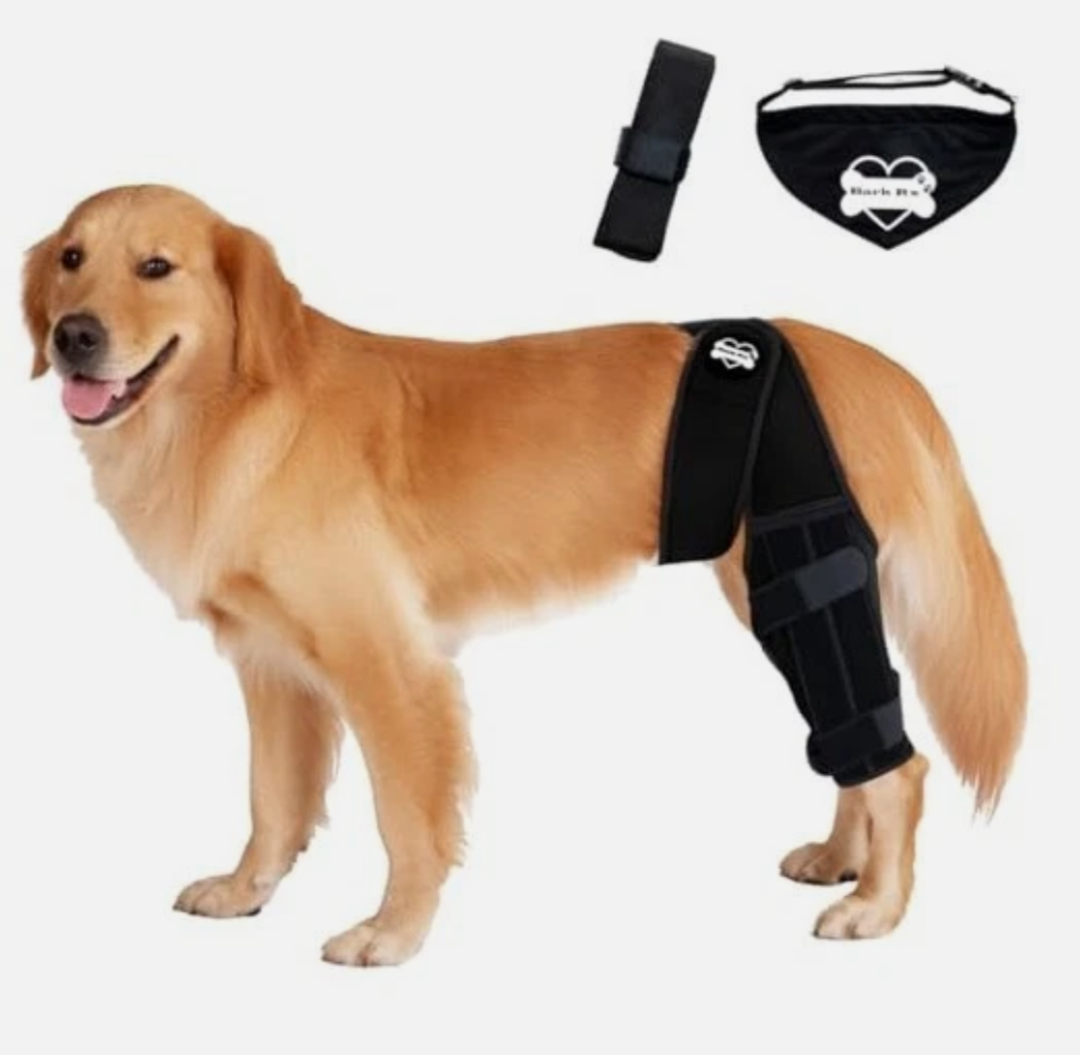 Bark Rx: Dog Knee Brace Hind Leg - Orthopedic Brace for Dogs - Integrated Support Strap for Canine Cruciate Ligament, Luxating Patella, Dislocation Injury - Includes Bandana Collar - Black (M)