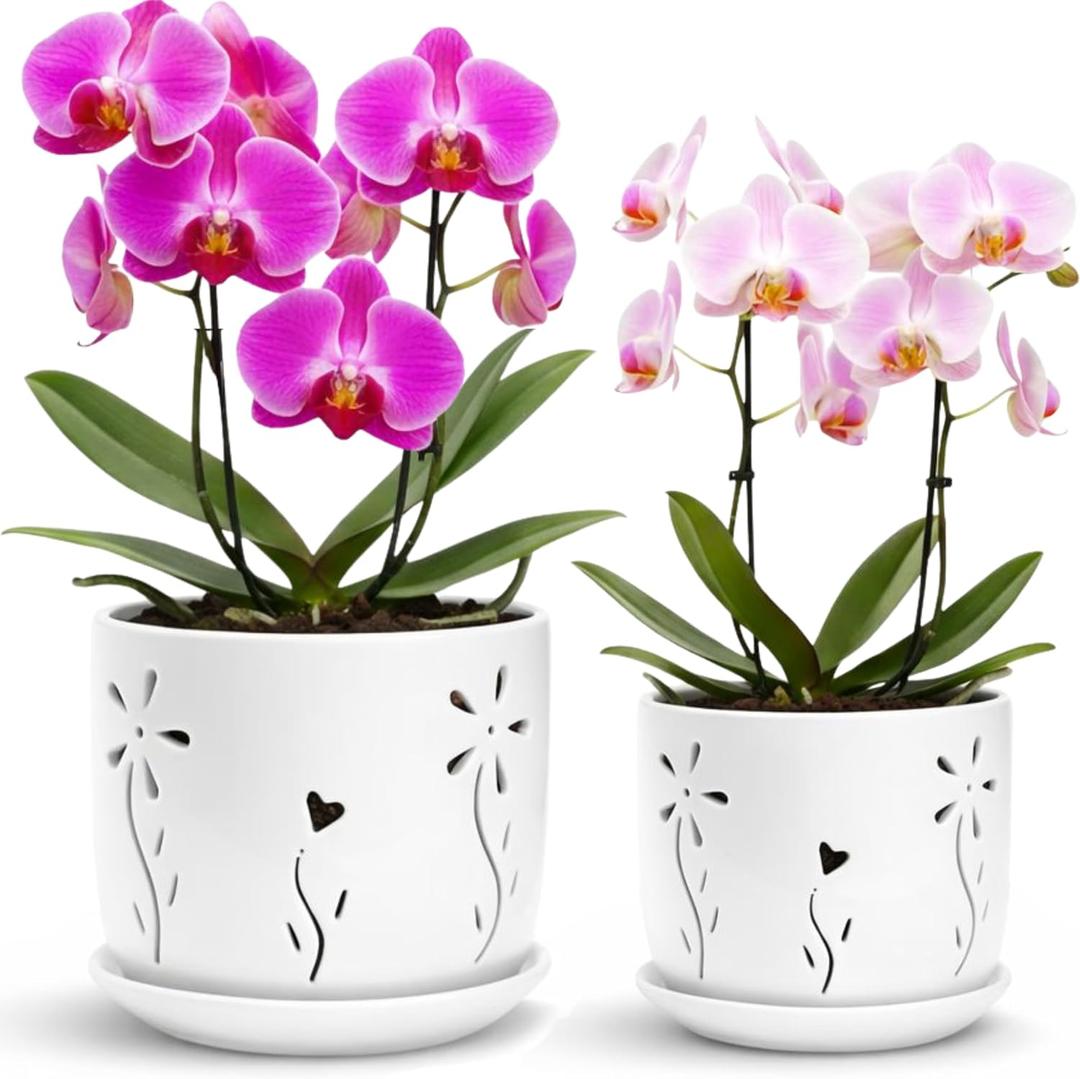 2 Pack, 5 + 6 Inch White Orchid Pots with Holes and Saucer, Ceramic Orchid Planters for Repotting with Drainage Holes and Tray, Plant Flower Pot containers for Orchid Indoor Outdoor