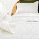 BOV Lightweight Queen Comforter for Summer (92x96) Queen Quilt Hotel Style Cream Coverlet, Soft Quilted Bedspread Set for Warm Weather Easy Care, Breathable Bedding for Everyday Use