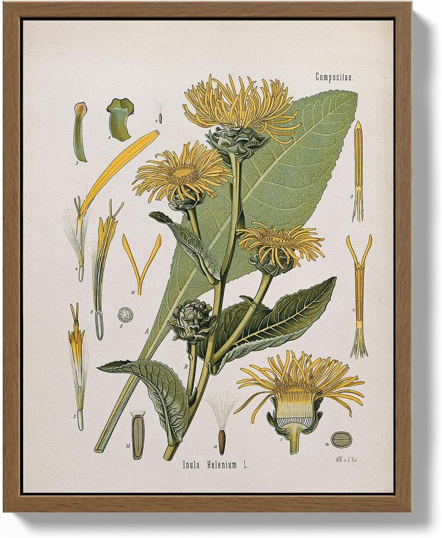 Bzstyleart Framed Vintage Wall Art,Botanical Wall Art Prints for College Dorm Decor,8 x 10 Inch Ferns Botanical Framed Artwork Home Decor,Canvas Picture Print for Living Room Office Dorm Bathroom