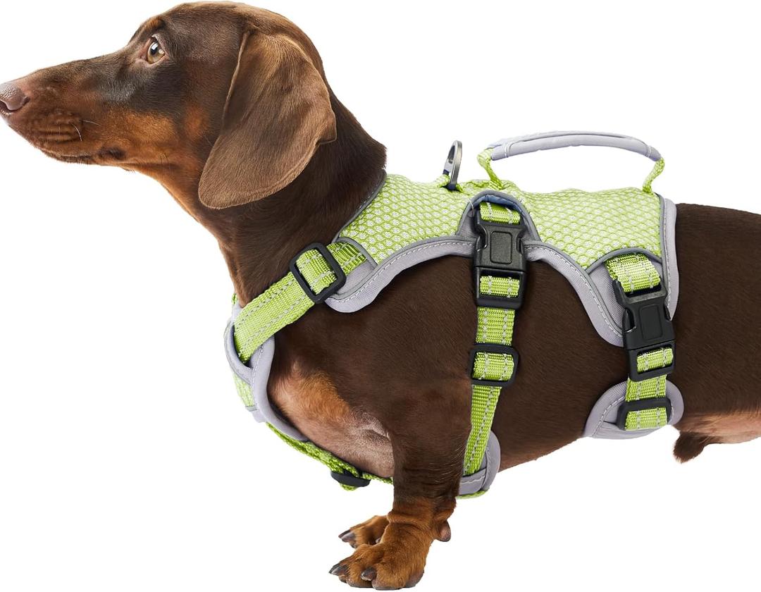 Huntboo Escape Proof Dog Harness, Escape Artist Harness, Reflective Dog Harness with Handle, Durable,Adjustable Vest for Small Medium Large Dogs Walking, Training, and Running Gear (Green, S) 