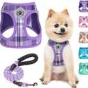 BEAUTYZOO Small Dog Harness and Leash Set,Step in No Choke No Pull Soft Mesh Dog Harnesses Reflective for Extra-Small Medium Puppy Dogs and Cats, Plaid Dog Vest Harness for XS S Pets, Purple S (Small(Chest Girth 14.5" - 16"))