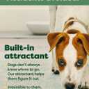 Earth Rated Max Absorbency Puppy Pee Pads for Dogs Absorbs 2X Faster & 2X More, Leak-Proof, Odor Control Potty Training, Unscented, Large, 22 x 23, 40 Count
