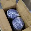 Amazon Basics Neoprene Dumbbell Hand Weights for Exercise and Muscle Toning