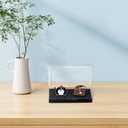 OLYCRAFT 16Pcs Clear Plastic Gift Box for Pin 2x3.1x0.6 Inch Black Presentation Boxes with Sponge for Badge Clear Lapel Pin Presentation Display Case for Lapel Pin Gemstone Storage Display