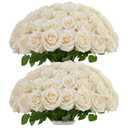 IUKnot Ivory Roses Artificial Flowers Bulk,Fake Roses Silk Flower with Stems Realistic Flowers for Wedding Centerpiece Home Party Decor