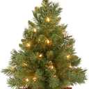 National Tree Company 24 in Pre-Lit Majestic Fir Mini Artificial Christmas Tree, 35 Clear Lights, 71 Tips, Red Cloth Base, Green