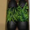 Der Rose Fake Plants 4 Packs Artificial Plants Small Faux Plants Black Bathroom Accessories for Halloween Bathroom Home Kitchen Coffee Table Office Desk Decor Indoor (Green)