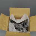 Iron Curtain Rod Black 30-240 Inch Heavy Duty Adjustable - Drapery Pole Diameter for Indoor Outdoor Windows - End Cap Style