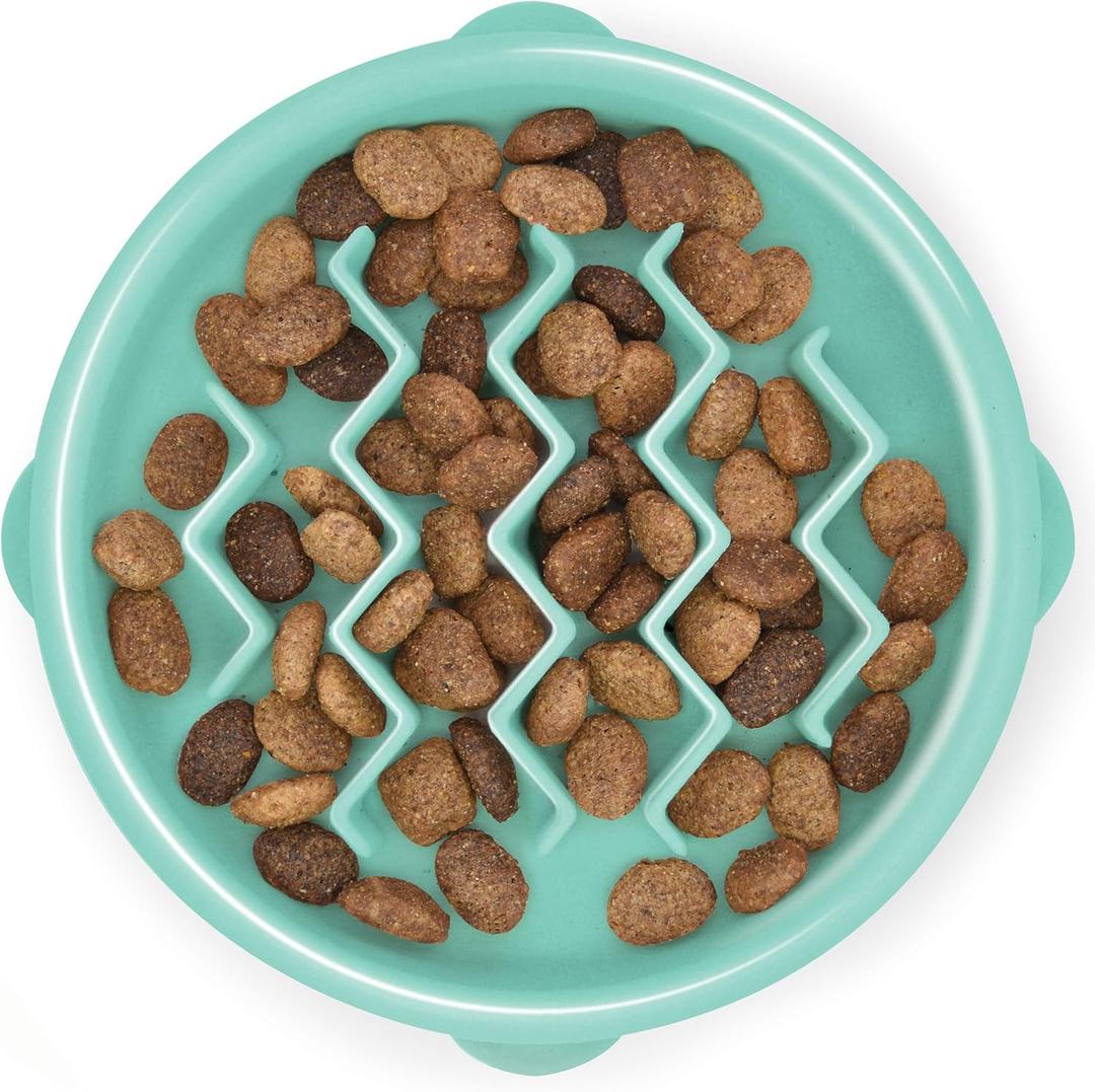 Outward Hound FunFeederSloBowl  Small 3/4-Cup Capacity, Slow Feeding, Small Dogs, Puppies & Cats, Non-Slip, Mint, Wave Pattern