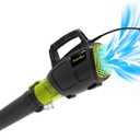 Grasstigon 13A Electric Leaf Blower Corded, 600CFM / 250MPH, 2 Speed Modes | 120V Powerful Lightweight Handheld Blowers for Lawn Care, Patio Cleaning, Blowing Leaves, Dust (BLACK & GREEN)