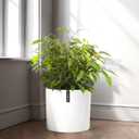 Fox & Fern Planter 10 Inch - Polystone - Large Flower Pot with Drainage Hole - for Indoor Plants - Plant Pots Large - White