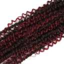 Goddess Passion Twist Crochet Hair 18Inch 8Packs Ombre Boho Passion Twist Hair Pre-twisted Crochet Passion Twist Hair Prelooped Boho Crochet Hair for Black Women (8 Packs, #1B/BUG,18inch)