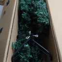 7ft. Pre-Lit Hudson Pine Artificial Christmas Tree - LumaDazzle™ Color Changing Twinkle LED Lights