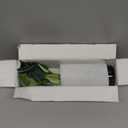 Der Rose 13.5" Fake Plants for Black Bathroom Decor Artificial Eucalyptus Stems in Black Glass Vase with Faux Water for Office Desk Accessories Farmhouse Home Table Centerpiece DecorSage Green