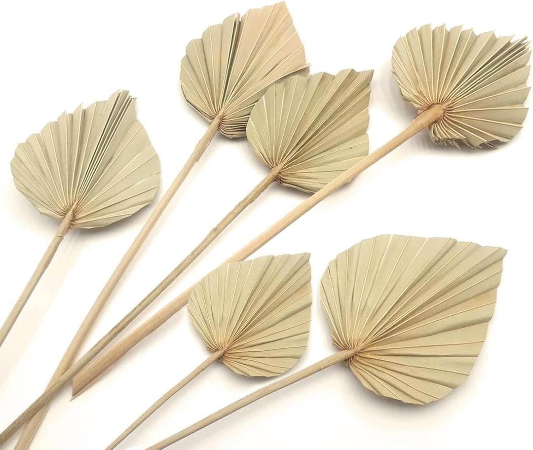 Boho Dried Palm Leaves, Small Dried Palms Plant Spears Fans, Palm Leaf with Stem for Home Office Wall Decor | Tropical Wedding Flowers Decor | Party Table Vase Decoration (Natural,6 Pcs)