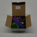 Ameliade Aquarium Artificial Plastic Plants Decorations and Rock Cave Decor Set Goldfish Betta Fish Tank Accessories Small Large Fish Bowl Ornaments