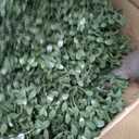 QIANYUN Boxwood Topiary Bush Artificial Shrubs for Outdoors, Artificial Boxwood Topiary Ball Tree, UV Resistant Evergreen for Front Porch, Garden, Yard & Balcony Decor