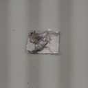 Toyvian 5 Pcs Fake Rat: Realistic Mini Mouse Toys with Magnets, Simulated Fake Mouse Figurines, Educational Pranks Rats - Perfect for Halloween Novelty Prank, Micro Landscape Decoration, Party Favors