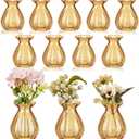 20 Pieces Glass Bud Vases for Centerpieces Bulk 3.5 Inch Mini Flower Bouquets Vases Small Cute Crystal Ribbed Glass Bud in Bulk for Wedding Baby Bridal Shower Table Party Home Decor (Amber)