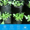 PATIKIL 4 Pockets Vertical Hanging Grow Bags, 2 Pcs Wall Hanging Planter Bags Wall-Mounted Felt Fabric Planting Grow Bags for Garden Home Decoration, Green