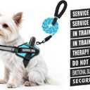 Service Dog Vest Harness and Leash Set, Animire in Training Dog Harness with 10 Dog Patches, Reflective Dog Leash with Soft Padded Handle for  Dogs, XXS