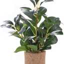 12.6" Fake Plants in Brown Ceramic Vase Real Looking and Touching Evergreen Ficus Leaf Faux Plant Indoor for Book Shelf Bathroom Office Desk Kitchen Counter Bedroom Small Space Artificial Plant Decor (Plant B)