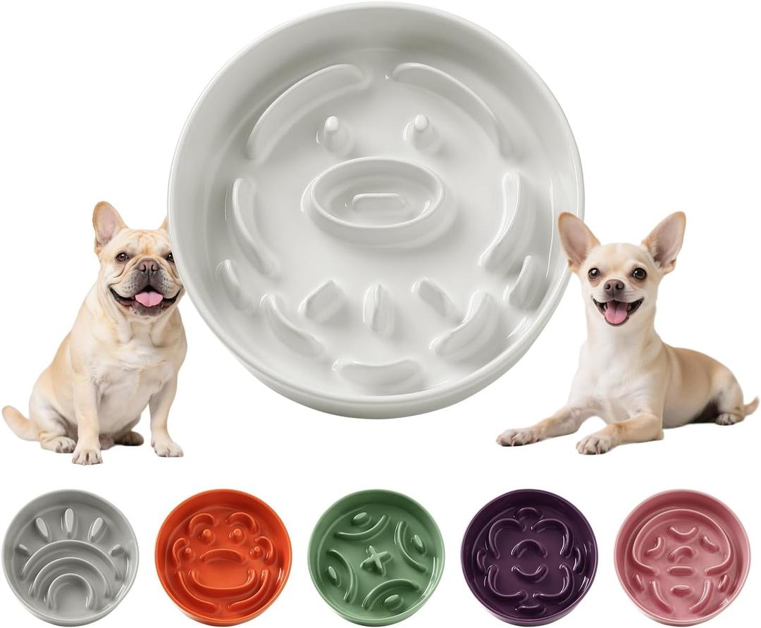 Ceramic Slow Feeder Dog Bowl - Feeding Dish for Fast Eaters - Maze Dog Bowl to Slow Down Eating - Ideal Food Control Dish for Small Breeds - 0.8 Cups (80g) - 6.3 Inch - White
