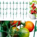 18 Inch-4 Pack Adjustable Tomato Cages, 3 Adjustable Rings Plant Support Garden Trellis for Tomatoes, Cucumbers, Vegetables, Flowers, Roses & Climbing Vines (17.7 IN)