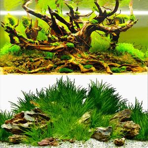 ELEBOX New 23" x 71" Fish Tank Background Paper Wallpaper 2 Sided Colorful Seaweed Water Plants Aquarium Poster Decorations