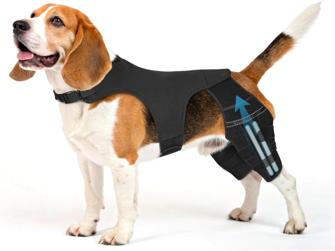 Dog Knee Brace for Torn ACL CCL Adjustable Dog Rear Leg Support Brace with 4 Metal Stabilizers, Helps with Luxating Patella, Ligament Injuries & Hip Dysplasia,M