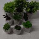 Artificial Potted Plants Faux Greenery in Cement Pots for Shelf, Bookshelf, Office or Home Decor, Small Decorative Fake Plants for Modern Indoor Display (9, XXXL)