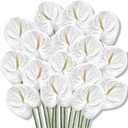 Hanaive 20 Pcs Artificial Anthurium Flowers 23.6 Inch Fake Anthurium Flowers for DIY Vase Bouquets Centerpiece Arrangements Wedding Bridal Shower Party Home Decor(White)