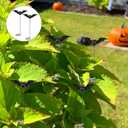 6pcs 3D Realistic Halloween Bat Decor for Yard, Outdoor Garden Stakes with Poles Garden Ornaments for Outdoor Lawn Patio Halloween Party