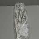 Hairui Lighted Artificial Twig Birch Branch with Fairy Lights 30IN 100 LED Battery Operated, White Willow Branch with Lights for Christmas Holiday Wedding Party Decoration