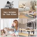 Elevated Cat Bowls with Food Mat, 15 Tilted Anti Vomiting Raised Cat Feeder for Indoor Cats and Puppy, 2 Stainless Steel Bowls for Food and Water