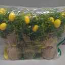 Dlerom 3 Pack Artificial Potted Lemon Flowers Plastic Faux Lemons in Small Burlap Bag Vases Fake Lemons Potted Plants for Spring Summer Home Farmhouse Office Kitchen Indoor Outdoor Table Decoration