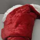 Bedsure GentleSoft Sherpa Fleece Throw Blanket for Couch, Non-Heated, Thick and Warm Throw for Girls and Women, Soft Fuzzy Plush Blanket for Winter, Red, 50x60 Inches