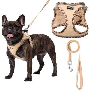AMTOR Small Dog Harness with Leash Set, No Escape Easy Walk Puppy Harnesses for Training Walking, Step-in Reflective Soft Dogs Vest for XS S Medium Extra-Small Large Sized Dog(Beige,S)