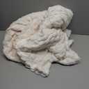 Fleece Weighted Blanket for Adults (60" x 80" 15lbs, Cream White), Dual Sided Cozy Soft Sherpa Heavy Blanket with 3D Imitation Turtle Shell Warm Jacquard Flannel for Couch and Bed