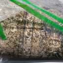 5x7 Area Rugs for Living Room: Washable Bedroom Rug Boho Vintage Rugs Stain Resistant Non Slip Low Pile Soft Lightweight Carpet for Kitchen Dining Room Farmhouse Nursery Kids Room