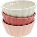 2 PCS Cupcake / Ice Cream Sundae Cups