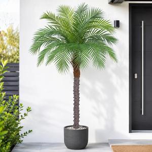 5ft Artificial Phoenix Palm Tree, Faux Coconut Silk Tropical Fake Palm Plant for Indoor Outdoor Home Office Patio Bathroom Pool Coastal Decor, Phoenix Palm, 5ft