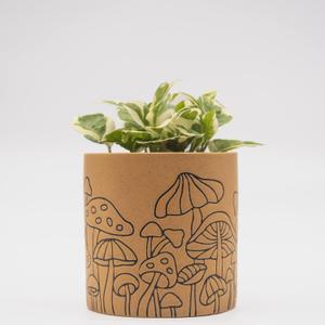 BASE ROOTS Mushroom Planter, Speckled Terracotta, Indoor/Outdoor, Holds Small Plants
