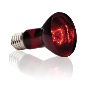 Exo Terra ROLF Hagen PET-538830 Infrared Basking Spot - 75W (75W)