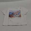 Y2k Baby Tee Short Sleeve Graphic Crop Top Women Teen Girl Floral Cute Crew Neck Slim Fit Vintage Cropped Shirts (Large, White Blue Orange)