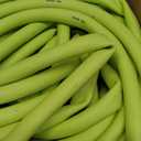 Flexzilla HFZPW426100Q-E 4200 PSI, 100' Pressure Washer Hose, 3/8 in. x 100 ft, ZillaGreen